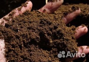 Чернозем, перегной, навоз, удобрение, коровяк