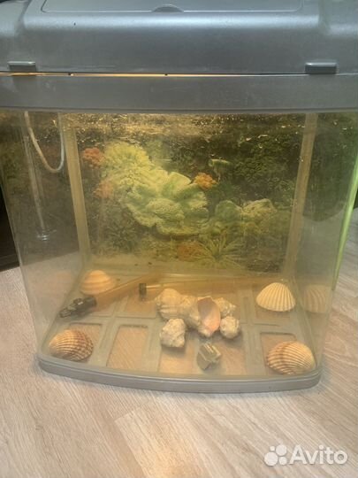 Певариум с подсветкой