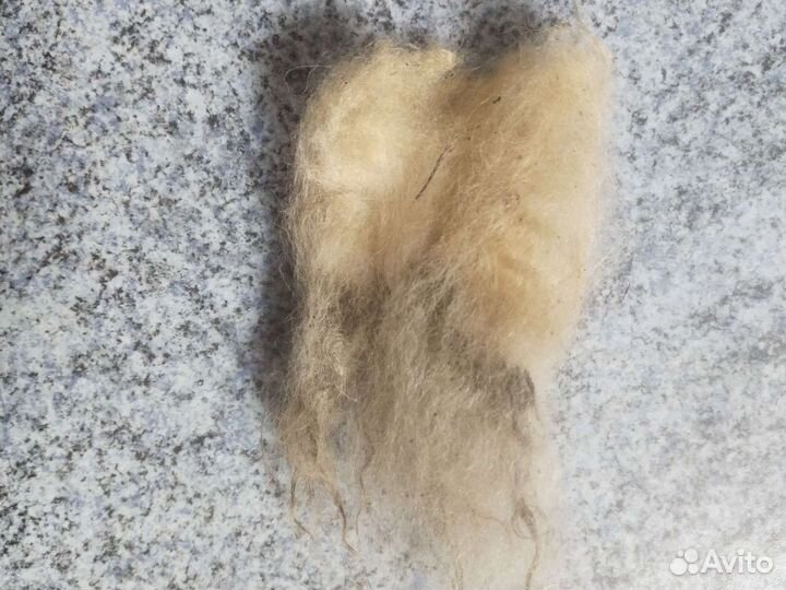 Шерсть овечья не мытая