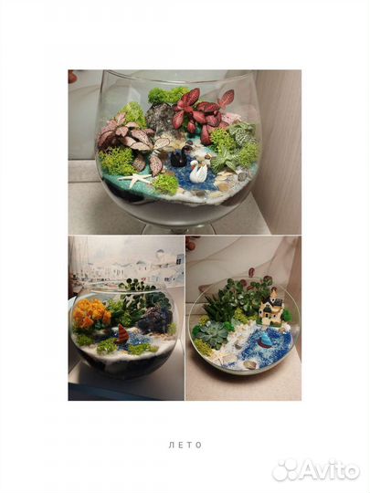 Флорариум, подарок, цветочная композиция