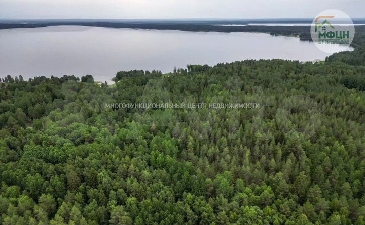 Участок 12 сот. (СНТ, ДНП)