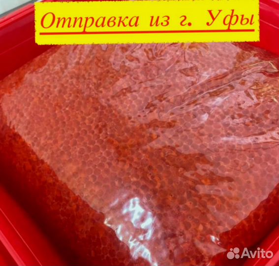 Красная икра