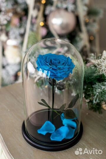 Роза в колбе. Много размеров