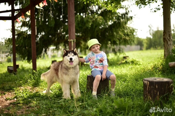 Детский фотограф Москва