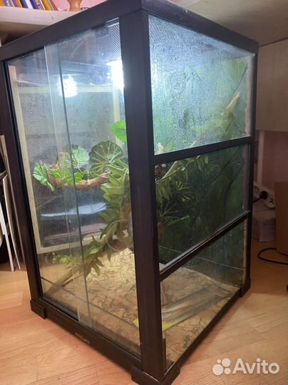 Террариум для рептилий