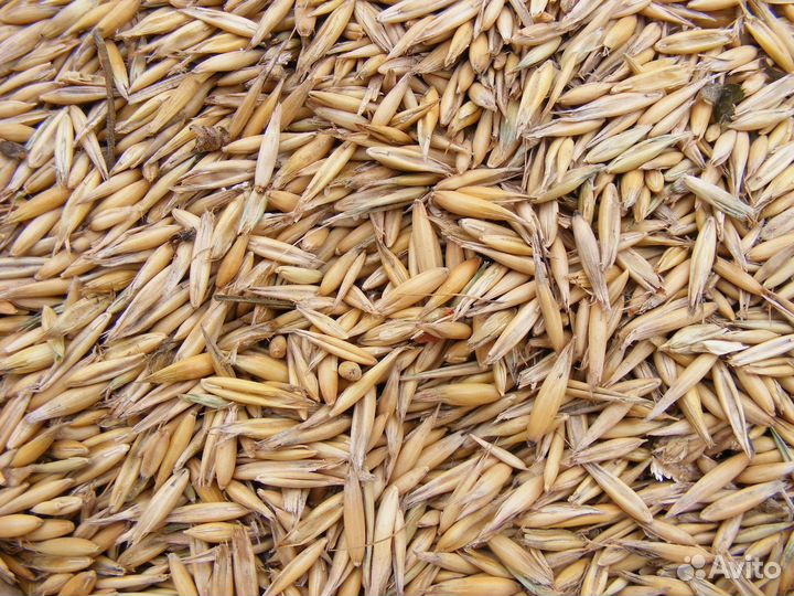 Комбикорм,зерно,макароны быстрого приготовления