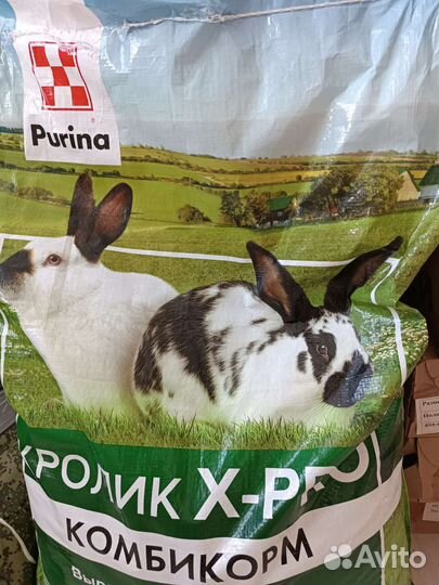 Корм для декоративных кроликов