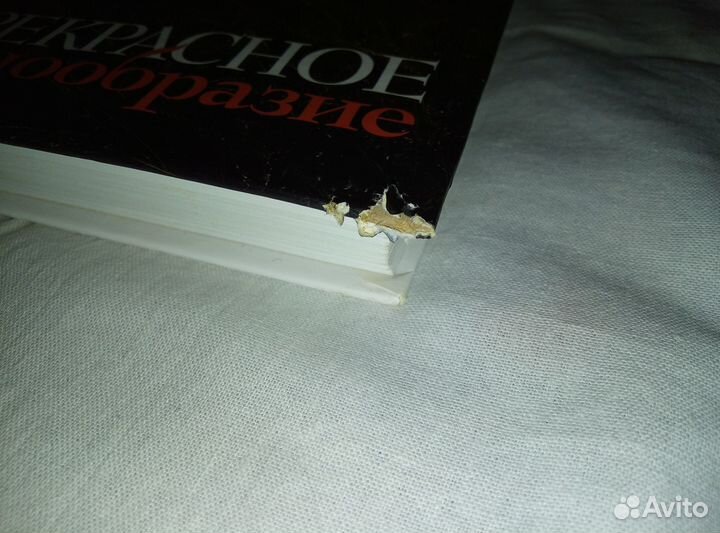 Книга Дoминика Смита 