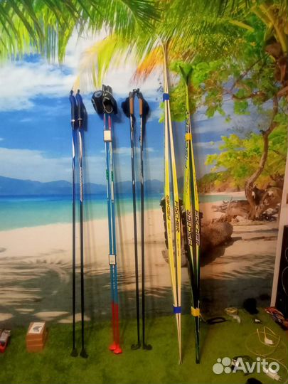 Лыжи+лыжные палки.Ботинки для лыж р.40-41(Фишер)