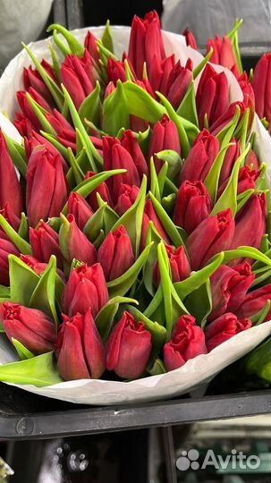 Тюльпаны к 8 марта оптом от 100 штук