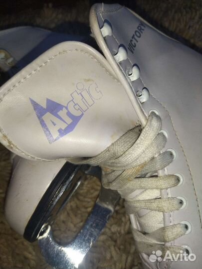 Коньки victory artic