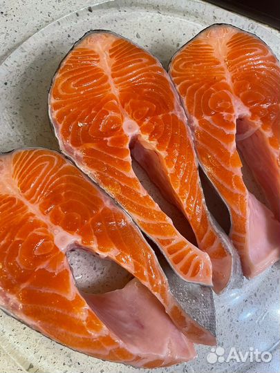 Форель - Карелия опт