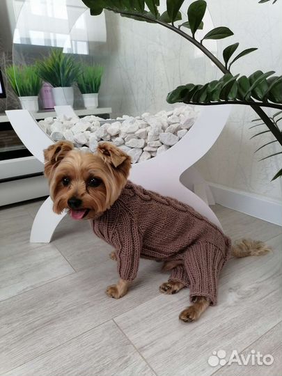Комбинезон для маленькой собаки