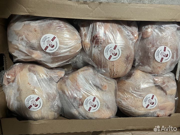 Мясо домашнего бройлера (молодняк )