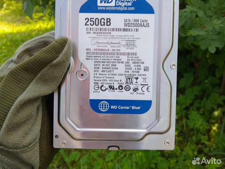 Жесткий диск для пк на 250гб