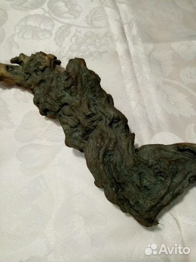 Морская раковина.коряга для аквариума