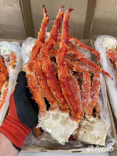 Клешни камчатского краба