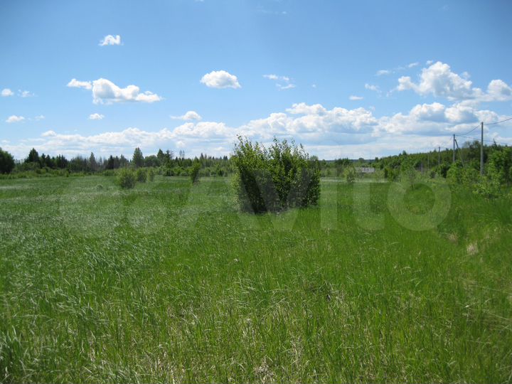Участок 21 сот. (СНТ, ДНП)