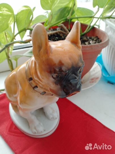 Статуэтка фарфор СССР собака боксер лфз