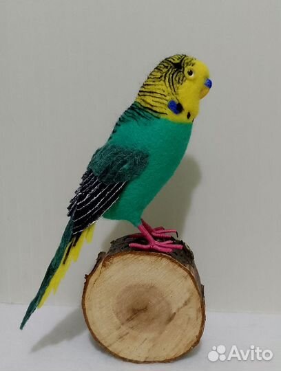 Попугай из шерсти