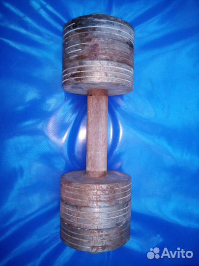 Гантеля разборная 14 кг