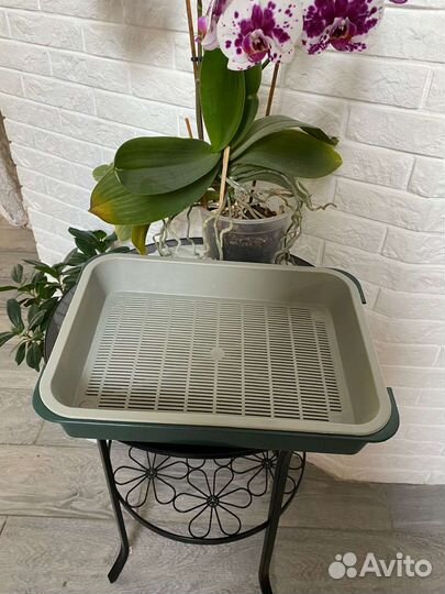 Лоток для кошек новый