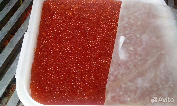 Красная икра горбуши оптом 2023