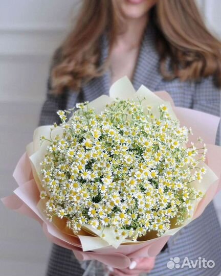 Ромашки Пионы Розы Доставка