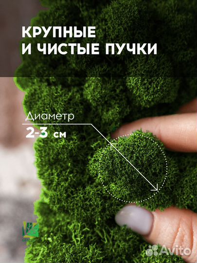 Готовая панель из мха