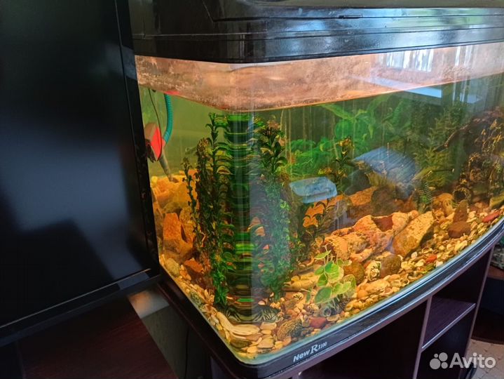 Продам аквариум Jebo R 3100