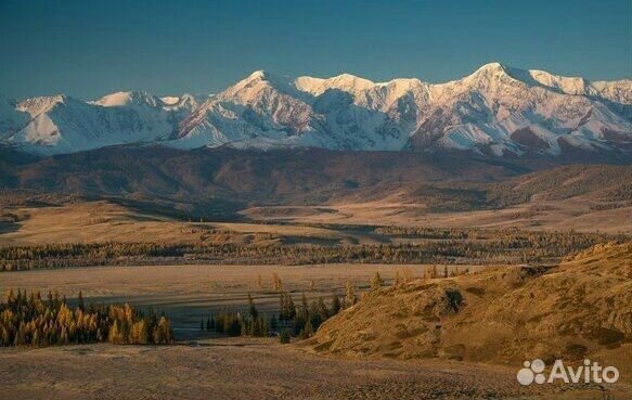 Туры в горный алтай и монголию