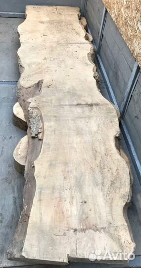 Слэб Карагача. Новосибирск