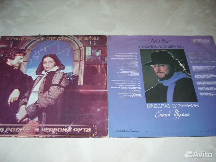 Добрынин, Дискоклуб-10Б, Жванецкий