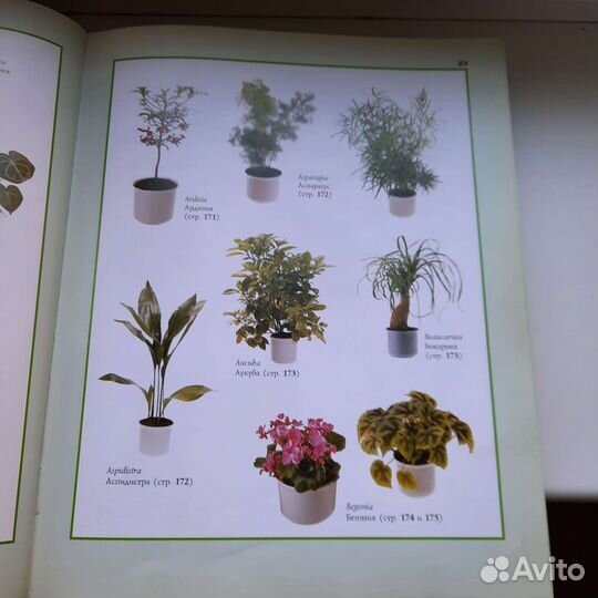Книга о цветах