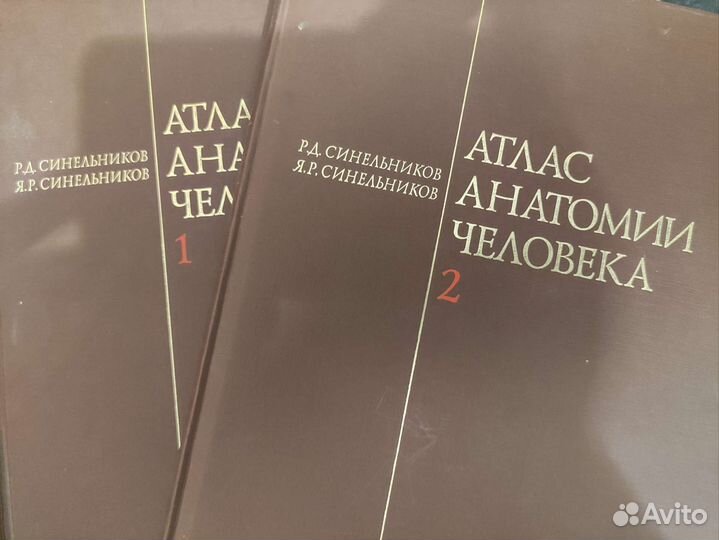 Атлас анатомии человека синельников том 1