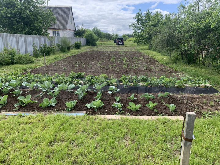 Дача 12 м² на участке 8 сот.