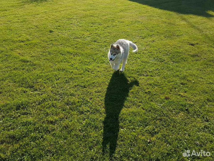 Агротуристический комплекс Подворье