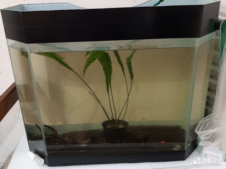 Аквариум
