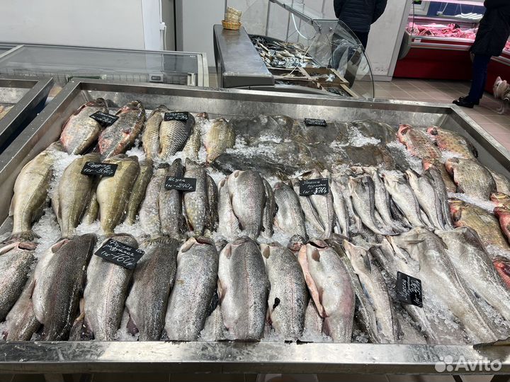 Нержавеющий стол для продажи рыбы