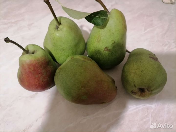 Груши