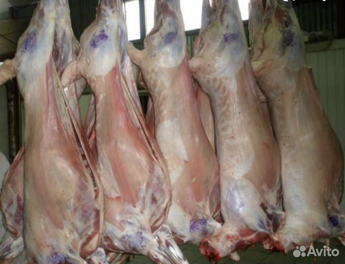 Мясо баранина свежая