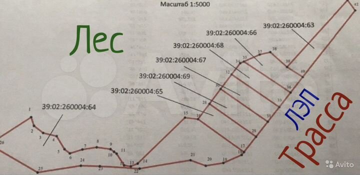 Участок 100 сот. (СНТ, ДНП)