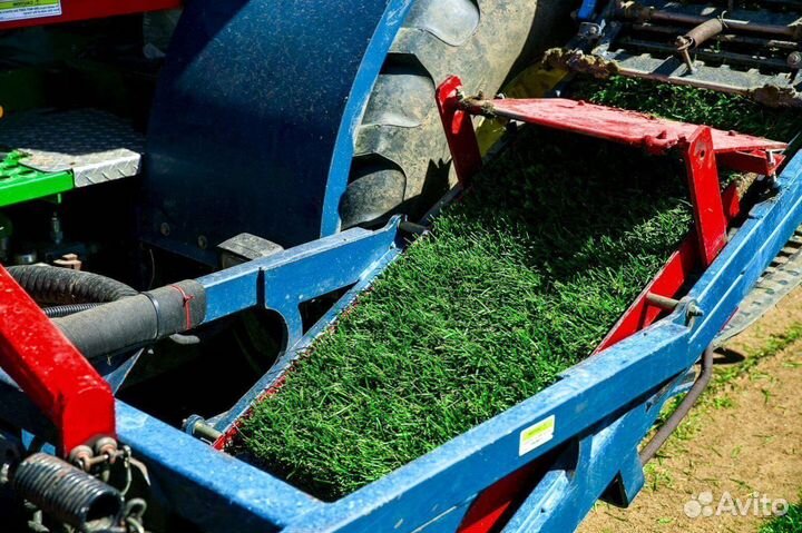 Рулонный газон - газон с укладкой