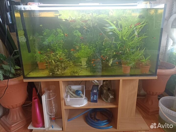 Аквариум