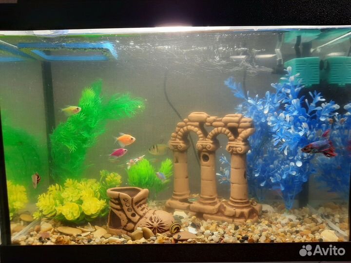 Аквариум