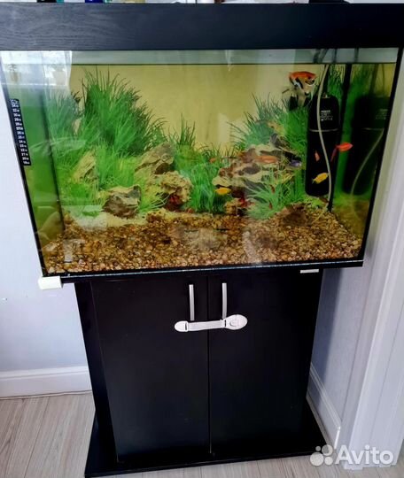 Аквариум 150 л с тумбой, рыбки, аксессуары