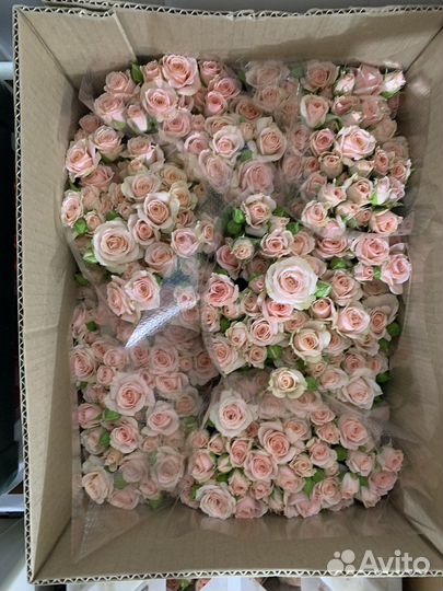 Кустовые розы и другие цветы оптом