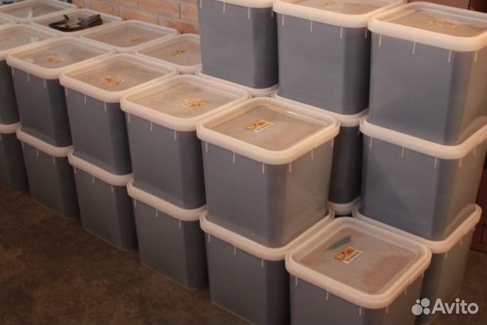 Мед натуральный с Алтая опт от 16кг