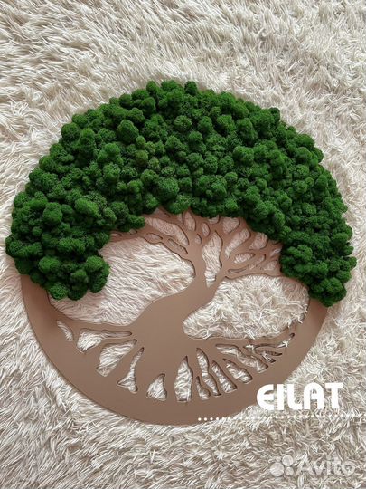 Мох, Любые Панно из Мха: Карта Мира, Круг, Древо