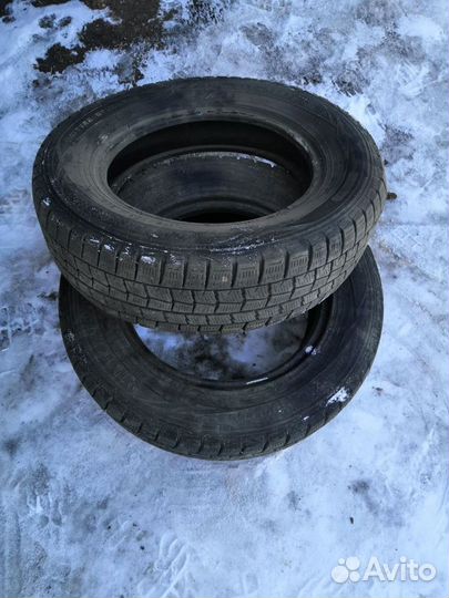 Dunlop All Season Maxx AS1 175/70 R14